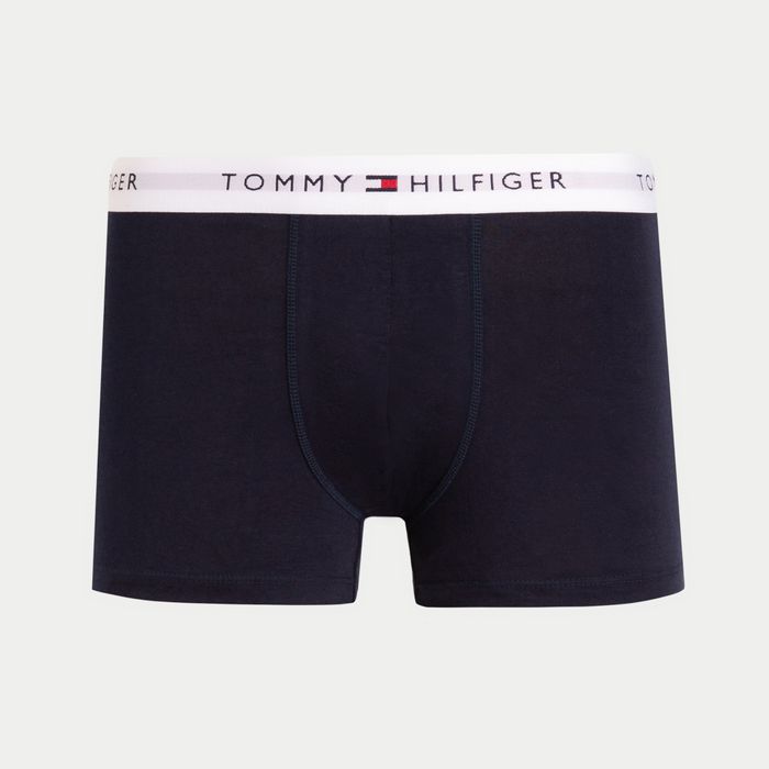Tommy Hilfiger Pacote com 3 cuecas boxer masculinas micro clássicas, Azul  novo, GG