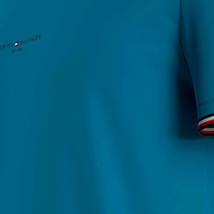 Camiseta Tommy Hilfiger Bold Global Stripe Tee - Oficial Mens Store  A  melhor loja masculina de roupas e calçados importados do Brasil